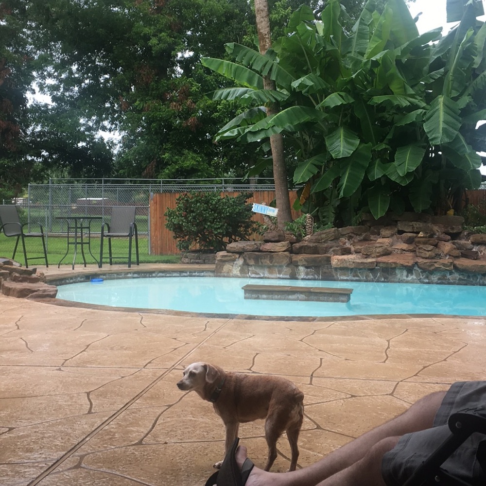 Meet your Posher, Krissy